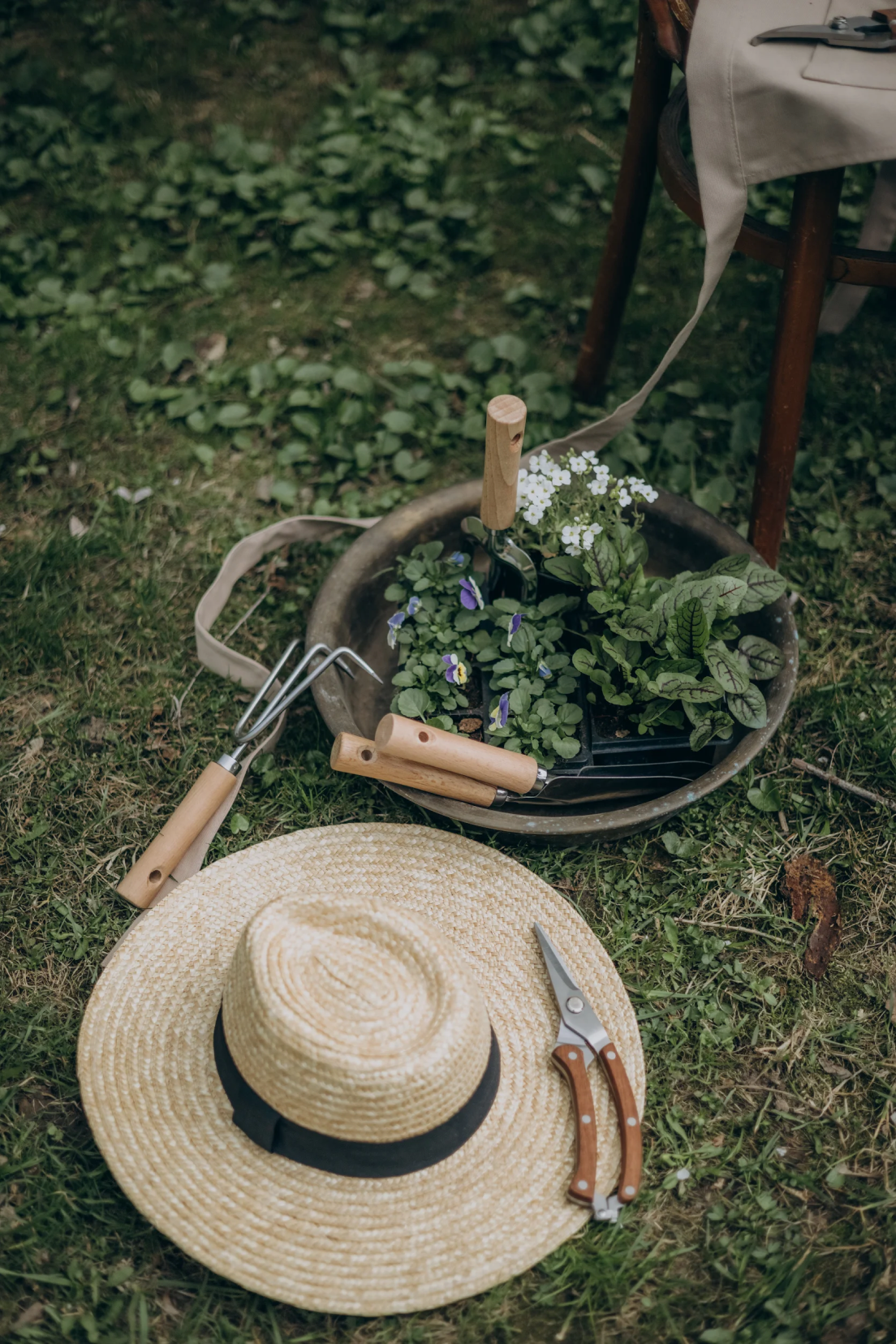 Garden scene