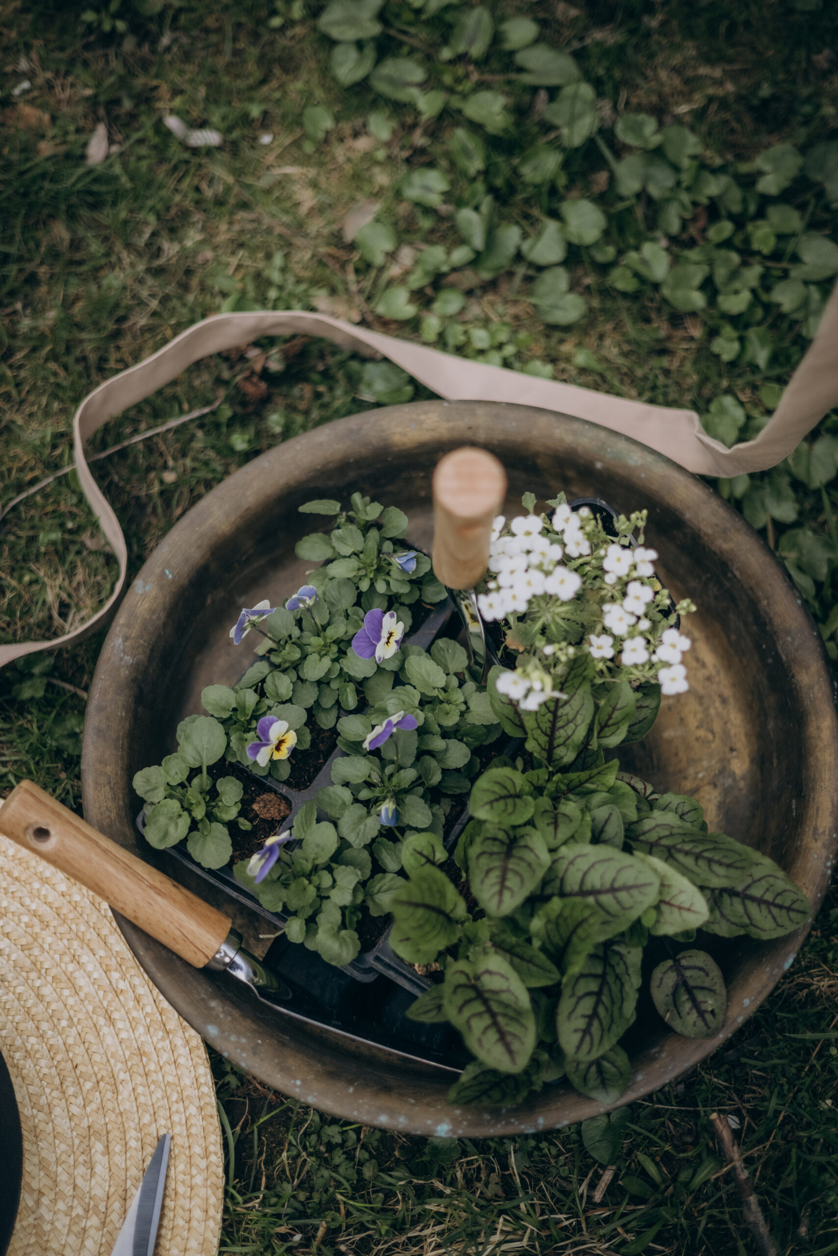 Garden tools